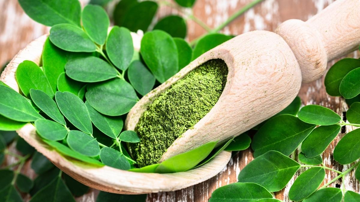 The Amazing Moringa