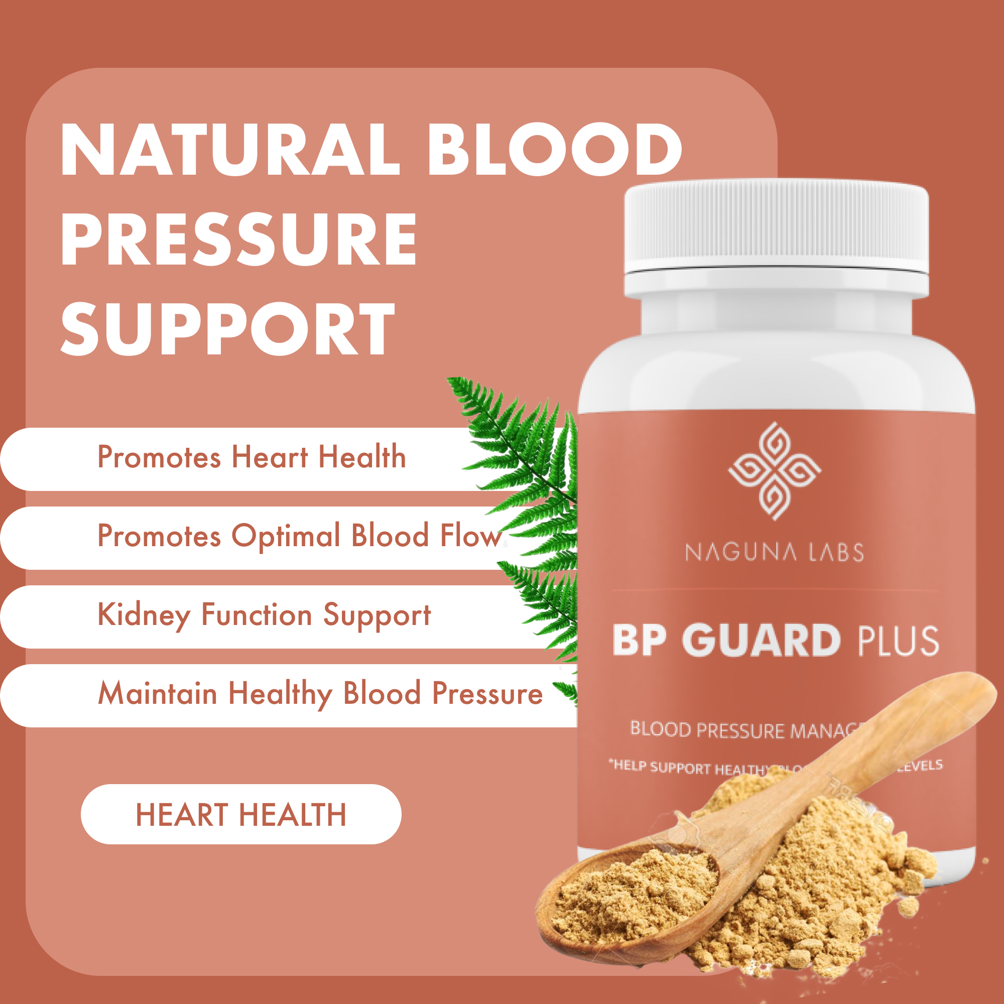 BP GUARD PLUS