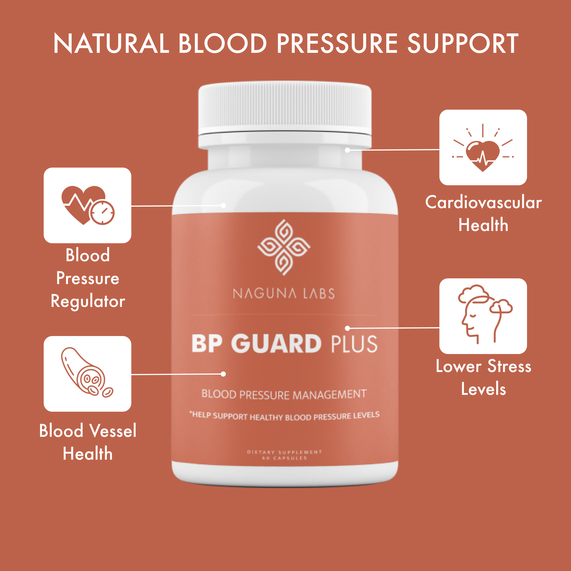 BP GUARD PLUS