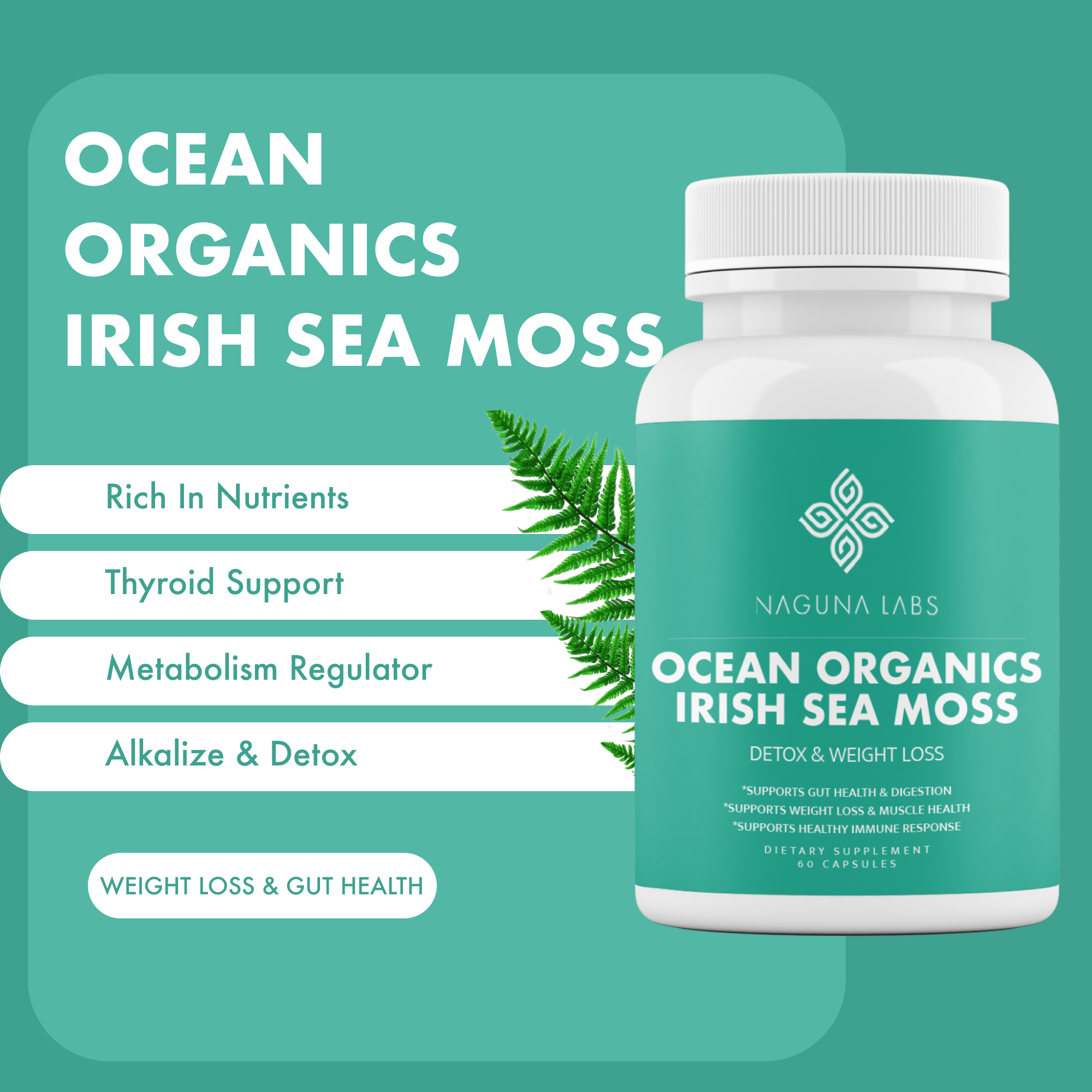 OCEAN ORGANICS IRISH SEA MOSS