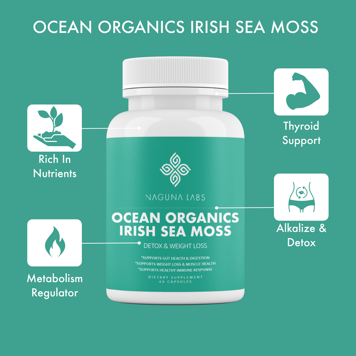 OCEAN ORGANICS IRISH SEA MOSS