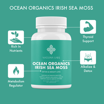OCEAN ORGANICS IRISH SEA MOSS