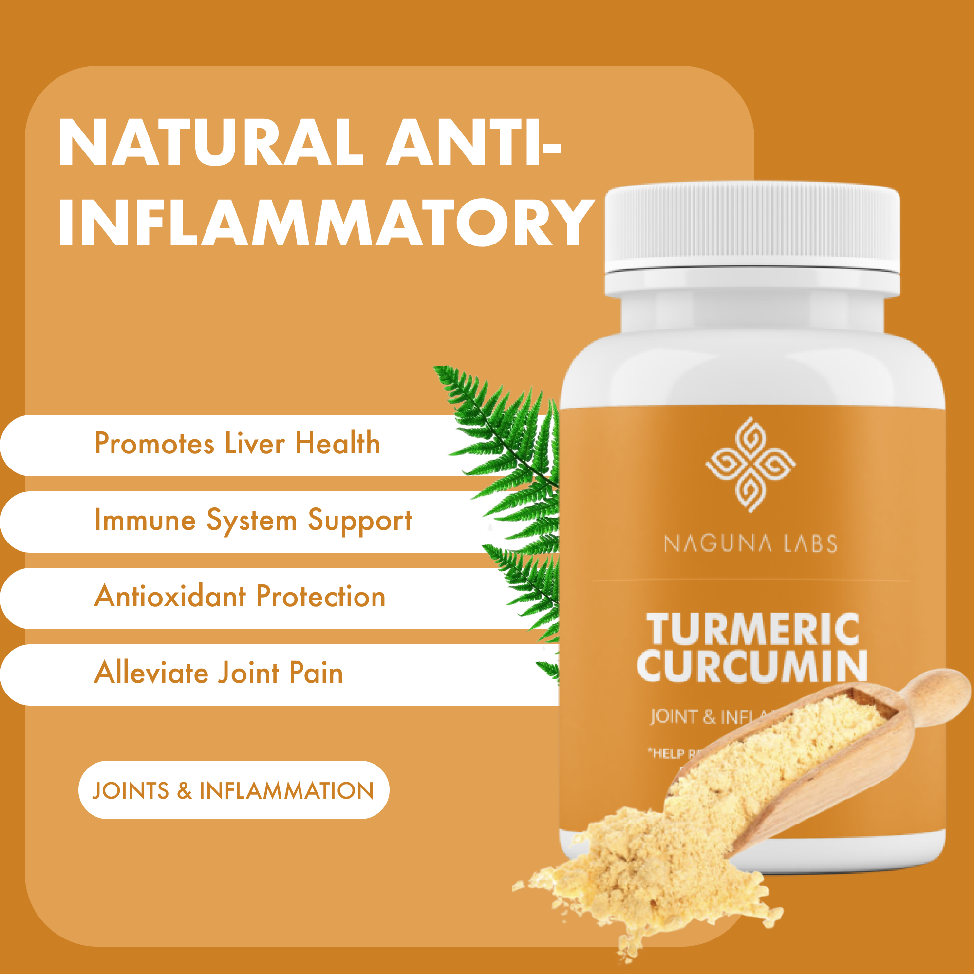 TURMERIC CURCUMIN